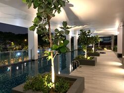 Neem Tree (D12), Apartment #587712311
